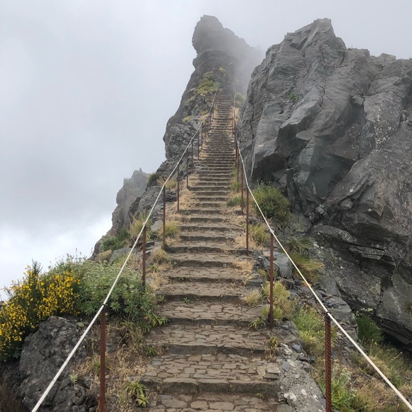 Meet your Posher, Jason - Picture 1 of 1